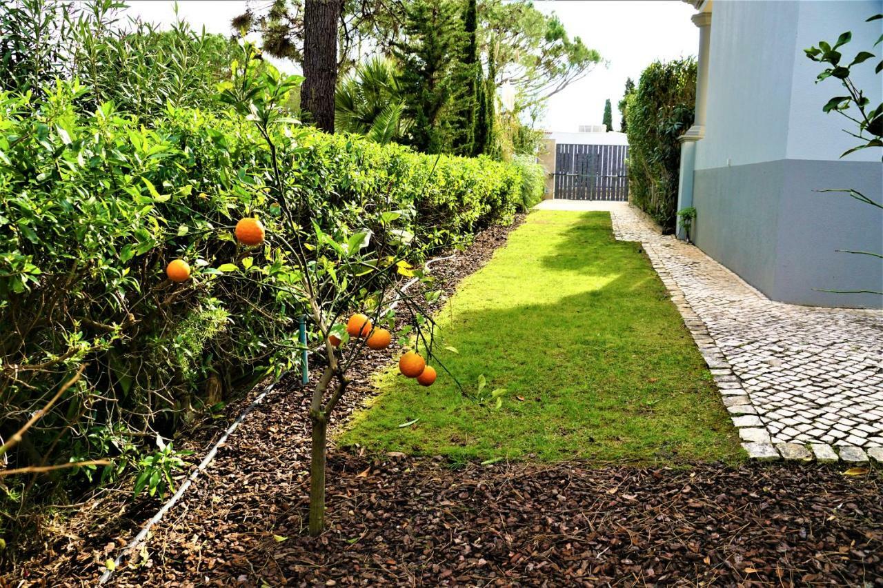 Charming Exceptional Golf Villa In Algarve FAO Exterior foto